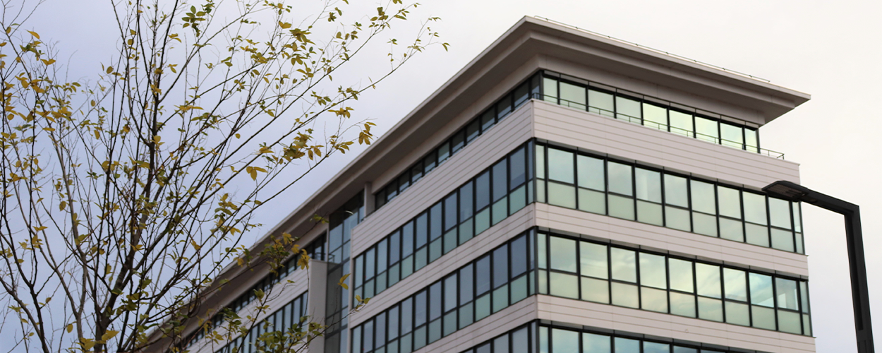 Alternative banner alt